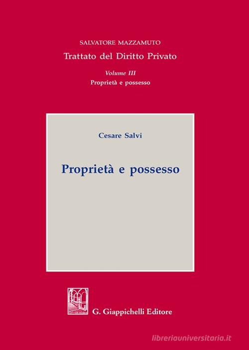 Proprietà e possesso di Cesare Salvi edito da Giappichelli
