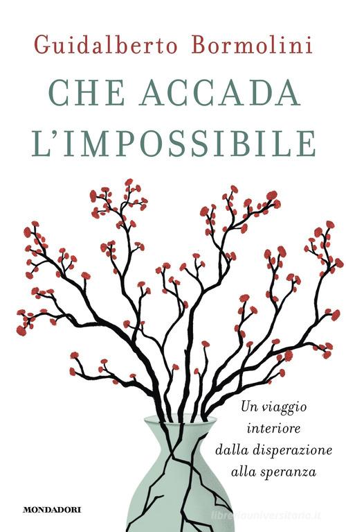 Che accada l'impossibile. Un viaggio interiore dalla disperazione alla speranza di Guidalberto Bormolini edito da Mondadori