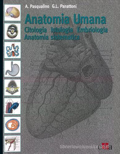 Anatomia umana. Citologia, istologia, embriologia, anatomia sistematica di Arcangelo Pasqualino, G. L. Panattoni edito da Edra