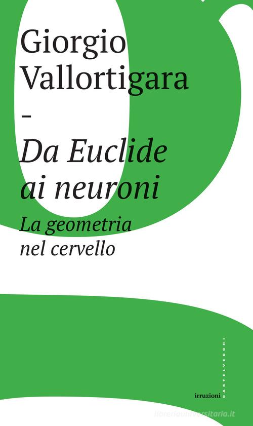 Da Euclide ai neuroni. La geometria nel cervello di Giorgio Vallortigara edito da Castelvecchi