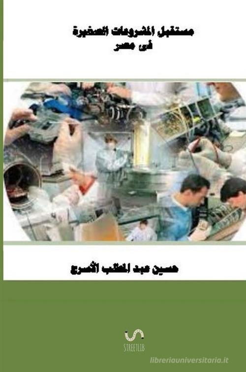 Il futuro dei piccoli progetti in Egitto di Hussein Elasrag, Al-Asraj Hussein Abdul-Muttalib edito da StreetLib