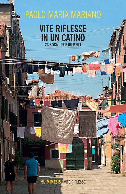 Libro Vite riflesse in un catino. 23 sogni per Hilbert di Paolo Maria Mariano Vite riflesse di Mimesis
