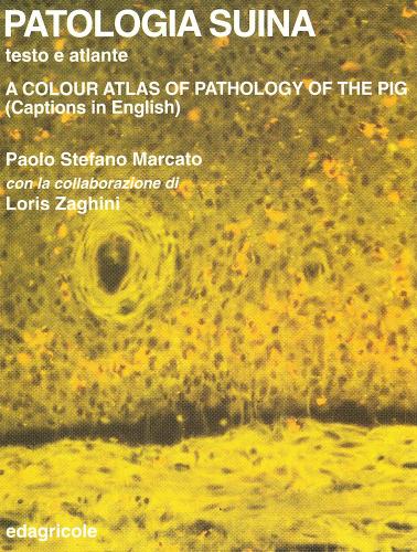 Patologia suina. Testo atlante di Paolo S. Marcato, Loris Zaghini edito da Il Sole 24 Ore Edagricole