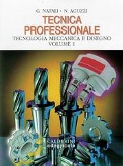Tecnica professionale 1 vol.1 di Graziano Natali, Nadia Aguzzi edito da Calderini