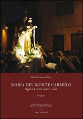 Maria del Monte Carmelo. Signora delle nostre case. Preghiere di Giovannino Pinna edito da Aipsa