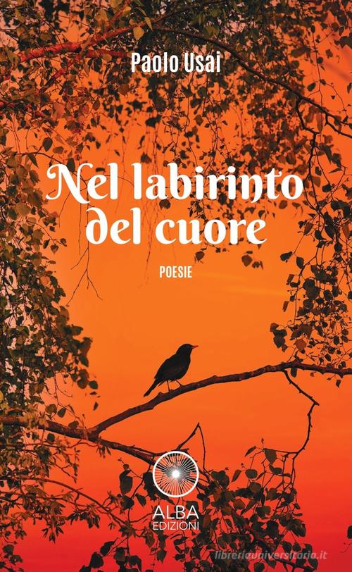 Nel labirinto del cuore di Paolo Usai edito da Alba Edizioni
