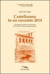 Libro Castellarano in un racconto 2014. Antologia di racconti e microracconti dal concorso letterario Aquila d'Argento E.B. di Terra Marique