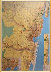 Genova con codici postali. Carta geografica stradale con aree codici postali (carta murale plastificata) edito da Edizioni Cart. Milanesi