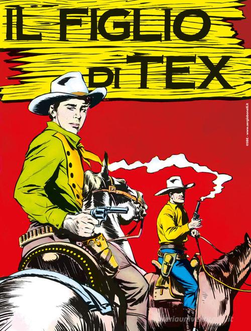 Tex collezione book vol. 12 di Gianluigi Bonelli edito da Sergio Bonelli Editore