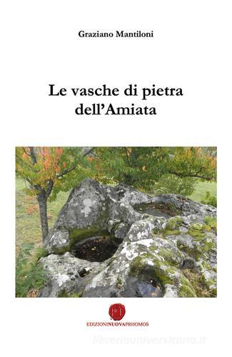 Le vasche di pietra dell'Amiata di Graziano Mantiloni edito da Nuova Prhomos