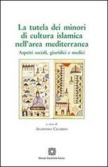 La tutela dei minori di cultura islamica nell'area mediterranea edito da Edizioni Scientifiche Italiane