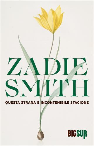 Questa strana e incontenibile stagione di Zadie Smith edito da Sur