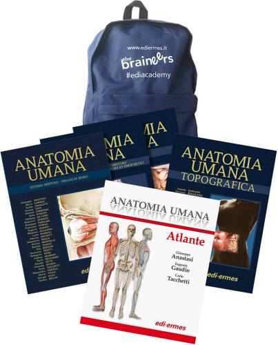 Anatomia Umana, Trattato + Atlante di Giuseppe Anastasi, Carlo Tacchetti, Raffaele De Caro edito da Edi. Ermes