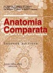 Anatomia comparata di Natale E. Baldaccini, Ernesto Capanna, Maria Fosca Franzoni edito da Antonio Delfino Editore
