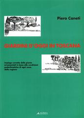 Giardini d'oggi in Toscana. Impiego corretto delle piante ornamentali in base alle condizioni pedoclimatiche di ogni zona della regione di Piero Caneti edito da Alinea