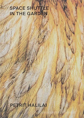 Petrit Halilaj. Space shuttle in the garden. Ediz. italiana e inglese edito da Mousse Magazine & Publishing