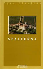 Spaltenna. (La Pieve e il suo piviere) di Renato Stopani edito da Firenzelibri