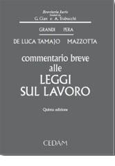 Commentario breve alle leggi sul lavoro di Raffaele De Luca Tamajo, Oronzo Mazzotta edito da CEDAM