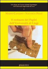 Il restauro dei papiri dell'Università di Liegi. Ediz. illustrata di Mario Capasso, Natascia Pellé edito da Graus Edizioni