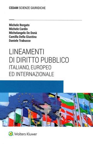 Lineamenti di diritto pubblico di Michele Borgato, Michele Cardin, Michelangelo De Donà edito da CEDAM