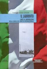 Il labirinto. Limite al mondialismo nella logica del diritto internazionale di Fabrizio Rossi Longhi edito da Neos Edizioni