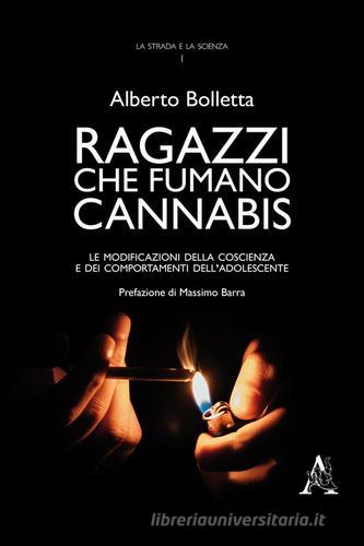 Ragazzi che fumano cannabis. Le modificazioni della coscienza e dei comportamenti dell'adolescente di Alberto Bolletta edito da Aracne