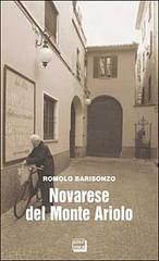 Novarese del monte Ariolo di Romolo Barisonzo edito da Interlinea