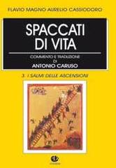 Spaccati di vita vol.3 di Flavio Magno Aurelio Cassiodoro edito da VivereIn