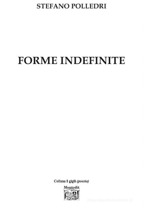 Forme indefinite di Stefano Polledri edito da Montedit