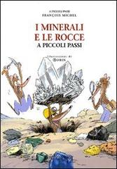 I minerali e le rocce a piccoli passi di François Michel edito da Motta Junior