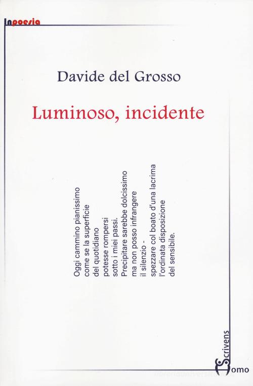 Luminoso, incidente di Davide Del Grosso edito da Homo Scrivens