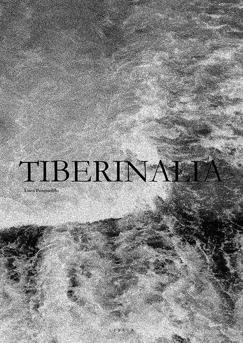 Tibernalia. Progetti per il fiume Tevere a Roma di Luca Porqueddu edito da Libria