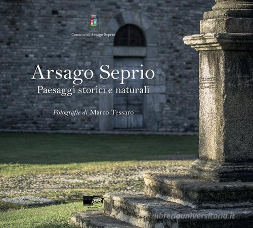 Arsago Seprio. Paesaggi storici e naturali. Ediz. illustrata di Martino Rosso edito da BraDypUS