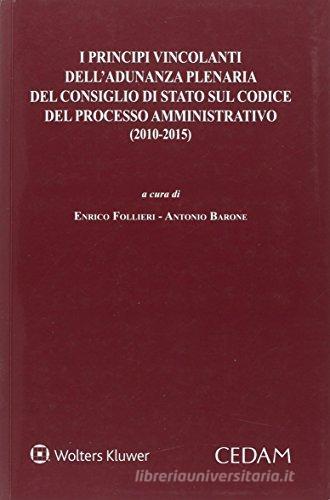 I principi vincolanti dell'adunanza plenaria del Consiglio di Stato sul codice del processo amministrativo (2010-2015) edito da CEDAM