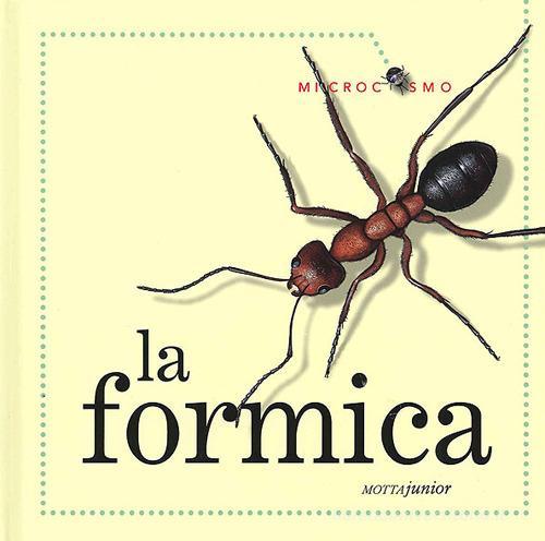 La formica. Ediz. illustrata di Ting Morris, Desiderio Sanzi edito da Motta Junior