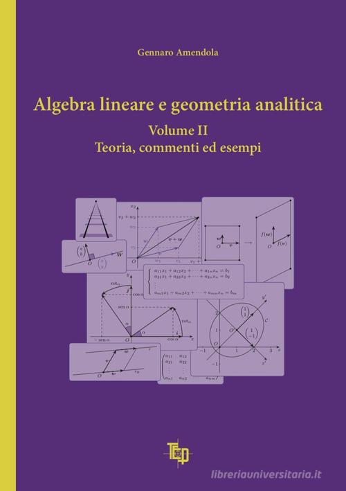 Algebra lineare e geometria analitica vol.2 di Gennaro Amendola edito da Tipografia Editrice Pisana