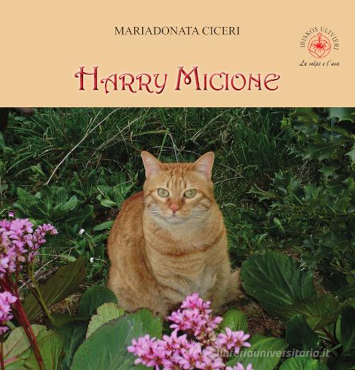 Harry micione di Mariadonata Ciceri edito da Ibiskos Ulivieri