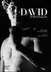Il David di Michelangelo di Aurelio Amendola, Antonio Paolucci edito da 24 Ore Cultura