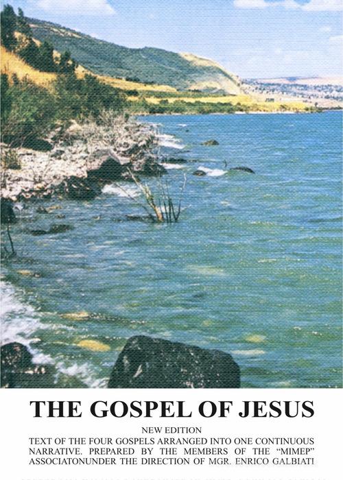 The gospel of Jesus di Enrico Galbiati edito da ISG Edizioni