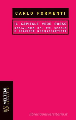 Il capitale vede rosso. Socialismo del XXI secolo e reazione neomaccartista di Carlo Formenti edito da Meltemi