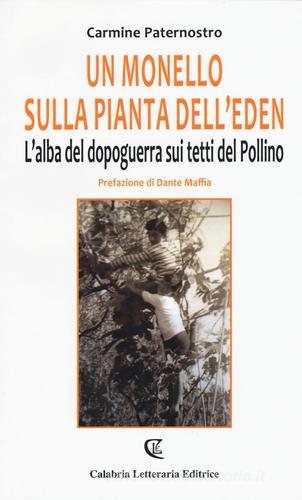 Un monello sulla pianta dell'eden. L'alba del dopoguerra sui tetti del Pollino di Carmine Paternostro edito da Calabria Letteraria
