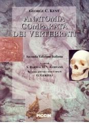 Anatomia comparata dei vertebrati di George C. Kent edito da Piccin-Nuova Libraria