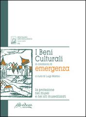 I beni culturali in condizioni di emergenza. La protezione nei musei e nei siti musealizzati edito da Altralinea