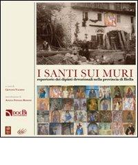 I santi sui muri. Repertorio dei dipinti devozionali nella provincia di Biella edito da DOCBI Centro Studi Biellesi