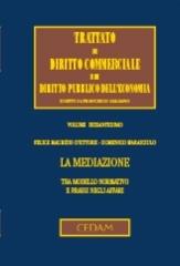 La mediazione tra modello normativo e prassi negli affari di Felice Maurizio D'Ettore, Domenico Marasciulo edito da CEDAM