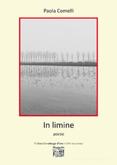 In limine di Paola Comelli edito da Montedit