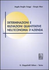 Determinazioni e rilevazioni quantitative nell'economia d'azienda di Angela Broglia Guiggi, Giorgio Mion edito da Giappichelli