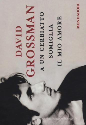 A un cerbiatto somiglia il mio amore di David Grossman edito da Mondadori