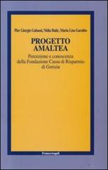 Progetto Amaltea. Percezione e conoscenza della Fondazione Cassa di Risparmio di Gorizia di P. Giorgio Gabassi, Nadia Batic, Maria Lisa Garzitto edito da Franco Angeli