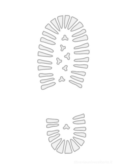 Multiverso (2022) vol. 17 edito da Forum Edizioni